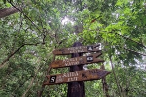 Rio de Janeiro: Garganta do Céu guided HIKE in Gávea