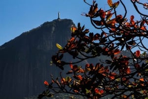 Rio de Janeiro: Guided Bike Tours in Small Groups