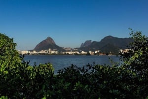 Rio de Janeiro: Guided Bike Tours in Small Groups