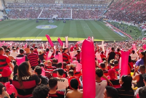 Rio de Janeiro: Guided tour and ticket - Soccer in historic stadiums