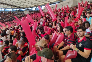 Rio de Janeiro: Guided tour and ticket - Soccer in historic stadiums