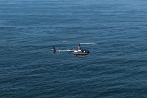 Rio de Janeiro: Helicopter Tour with an unforgettable view