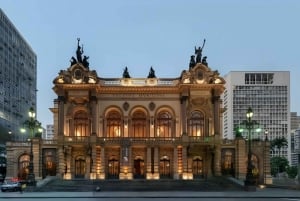Rio de Janeiro : Highlights Walking Tour With A Guide