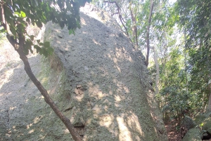 Rio de Janeiro: Introductory Rock Climbing Lesson