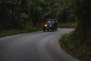 Rio de Janeiro: Jeep Tour in the Tijuca Forest