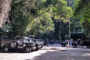 Rio de Janeiro: Jeep Tour in the Tijuca Forest