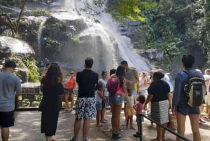 Rio de Janeiro: Jeep Tour in the Tijuca Forest