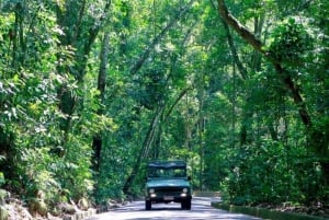 Rio de Janeiro: Jeep Tour in the Tijuca Forest
