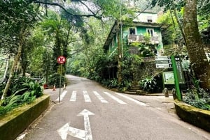 Rio de Janeiro: Jeep Tour in the Tijuca Forest