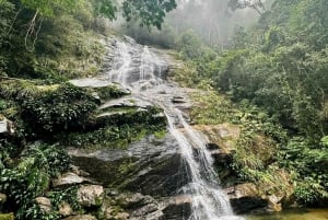 Rio de Janeiro: Jeep Tour in the Tijuca Forest