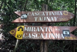 Rio de Janeiro: Jeep Tour in the Tijuca Forest