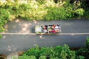 Rio de Janeiro: Jeep Tour in the Tijuca Forest