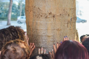 Walk Through History-Little Africa & Black Resistance in Rio