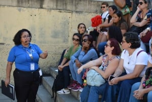 Walk Through History-Little Africa & Black Resistance in Rio