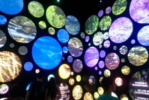 Rio de Janeiro: Museum of Tomorrow and Olympic Boulevard