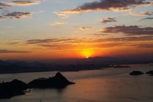 Rio de Janeiro: Niterói Day Trip