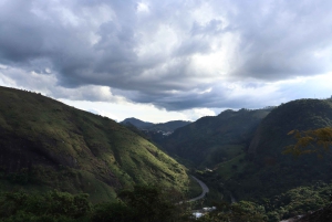 Rio de Janeiro: Nova Friburgo Pedra do Cao Sentado Day Trip
