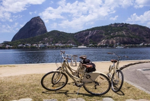 Rio de Janeiro: Panoramic Bike Tour