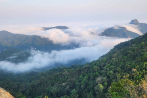Rio de Janeiro: Papagaio Peak Hike in Tijuca Forest