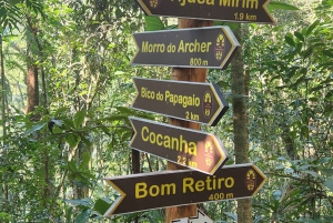 Rio de Janeiro: Papagaio Peak Hike in Tijuca Forest