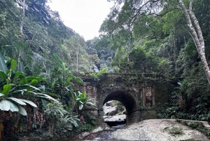 Rio de Janeiro Private Parque Lage Tijuca Forest waterfalls