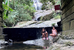 Rio de Janeiro Private Parque Lage Tijuca Forest waterfalls