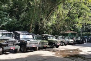 Rio de Janeiro: Jeep Tour in the Tijuca Forest