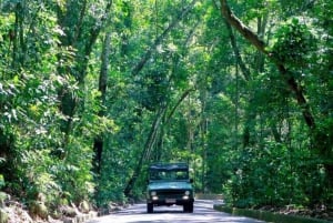 Rio de Janeiro: Jeep Tour in the Tijuca Forest