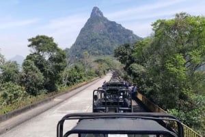 Rio de Janeiro: Jeep Tour in the Tijuca Forest