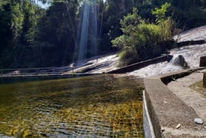 Rio de Janeiro: Jeep Tour in the Tijuca Forest