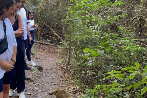 Rio de Janeiro: Pedra Bonita Hike with Ocean Views