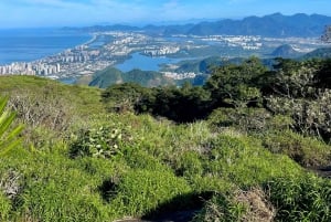 Rio de Janeiro: Pedra Bonita Hike with Ocean Views