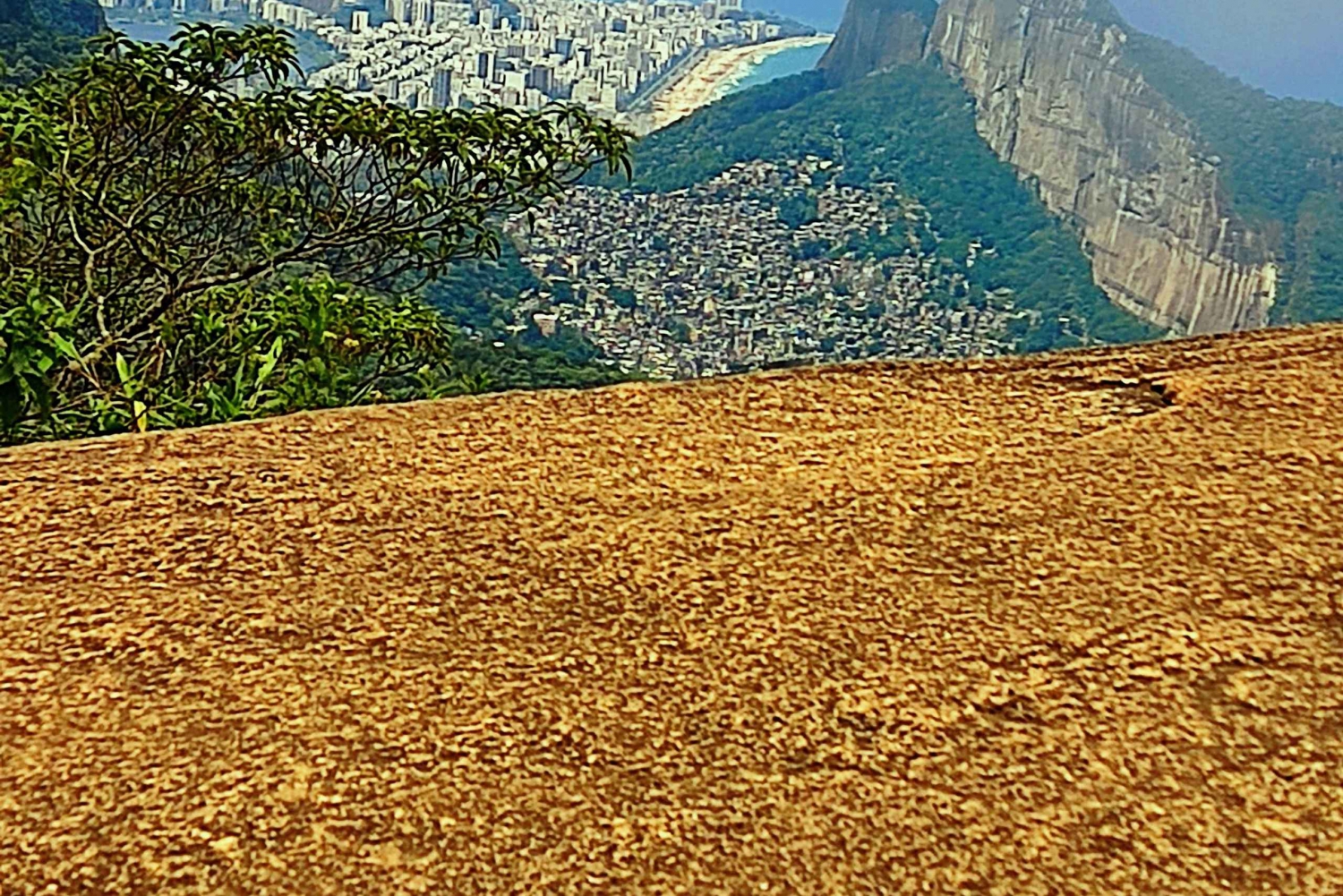 Rio de Janeiro: Pedra Bonita Hike with Panoramic Views