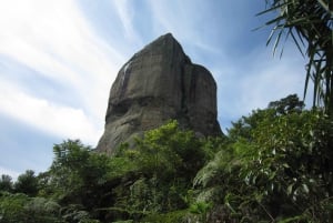 Rio de Janeiro: Pedra da Gavea Adventure Hike