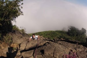 Rio de Janeiro: Pedra da Gavea Adventure Hike