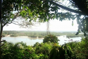 Rio de Janeiro: Prainha and Grumari Beach Tour