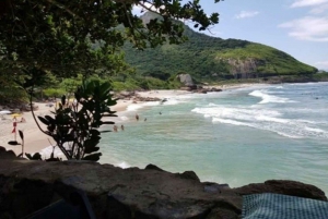 Rio de Janeiro: Prainha and Grumari Beach Tour