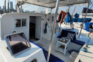Rio de Janeiro: Private Catamaran Cruise with BBQ & Open Bar