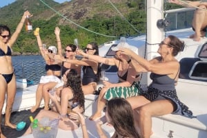 Rio de Janeiro: Private Catamaran Cruise with BBQ & Open Bar