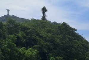 Rio de Janeiro: Private City Tour with Hotel Pickup