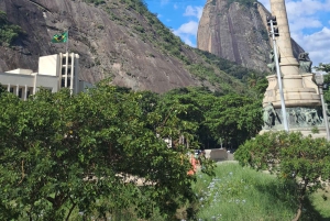 Rio de Janeiro: Private City Tour with Hotel Pickup