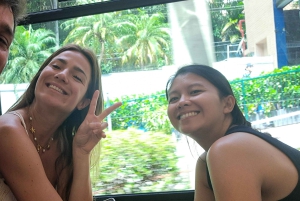 Rio de Janeiro: Private City Tour with Hotel Pickup