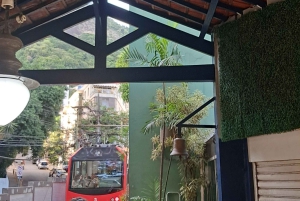 Rio de Janeiro: Private City Tour with Hotel Pickup