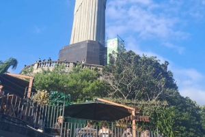 Rio de Janeiro: Private City Tour with Hotel Pickup