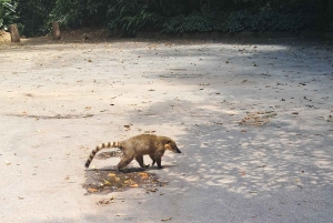 Rio de Janeiro: Private City Tour with Hotel Pickup