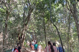 Rio de Janeiro: Private City Tour with Hotel Pickup