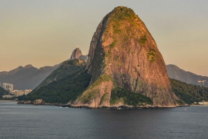 Rio de Janeiro: Private Guided City Tour