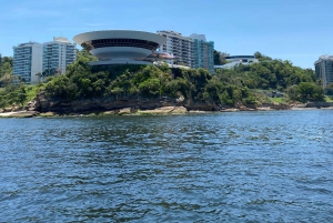 Rio de Janeiro: Private Speedboat Tour - Up to 12 people!