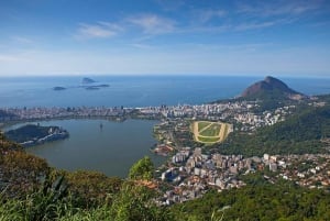 Rio de Janeiro Rocinha walking Tour com Guia Local