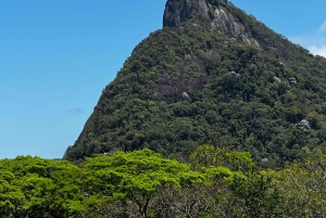 Rio de Janeiro Rocinha walking Tour com Guia Local
